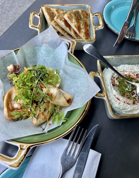 Dionysos Hamburg – mediterránea · vegetariana · terraza